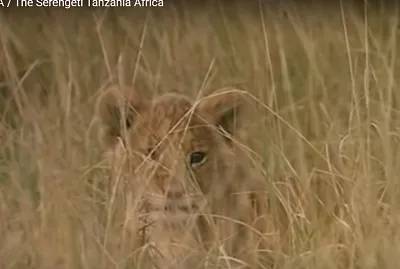 TODO U  LEÓN jigsaw puzzle