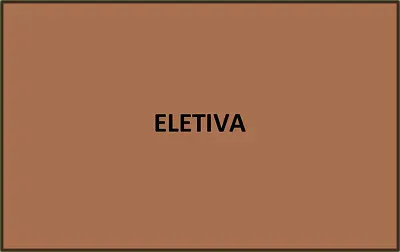 ELETIVA 4