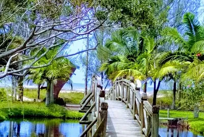 imagem jigsaw puzzle