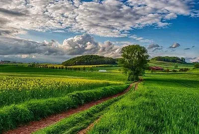 imagem jigsaw puzzle