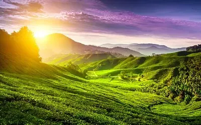 imagem jigsaw puzzle