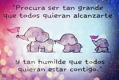 FRASES