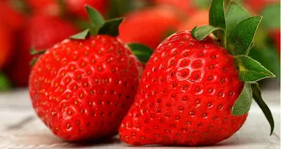 FRUTAS jigsaw puzzle