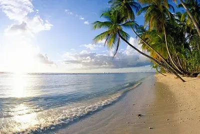 playa jigsaw puzzle
