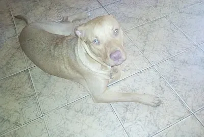 Odin