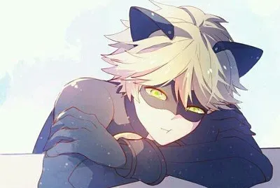 פאזל של cat noir