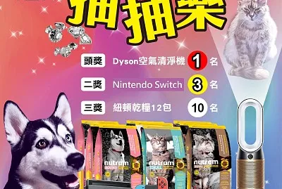 ç´é “