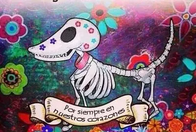 OFRENDA