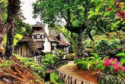 Floresta das Queimadas-Madeira jigsaw puzzle