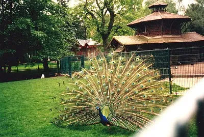 Jardin botanique Ã  Tours