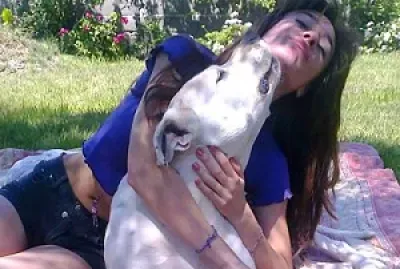 Dogo argentino jigsaw puzzle