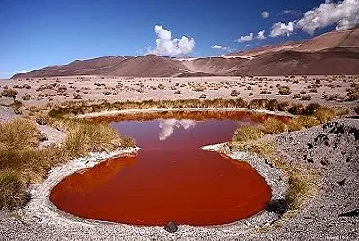 Salar de Antofalla, Catamarca. Argentina jigsaw puzzle
