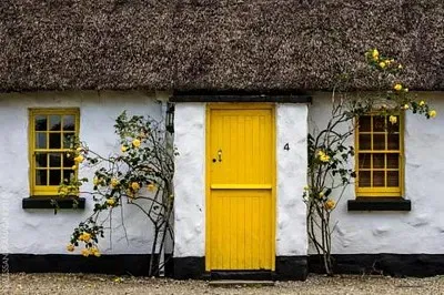 flores jigsaw puzzle