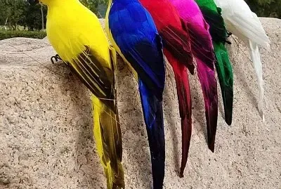 cores