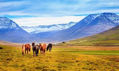 imagem jigsaw puzzle