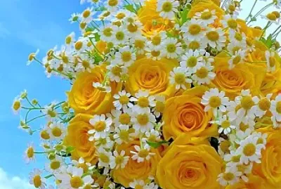 flores jigsaw puzzle