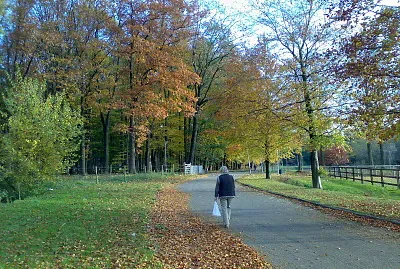 herfst