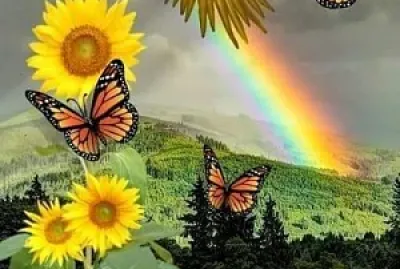 Naturaleza. Girasoles jigsaw puzzle