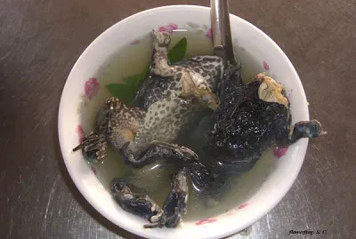 é’è›™æ¹¯