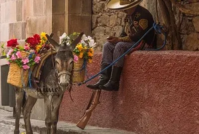 CHARRO jigsaw puzzle