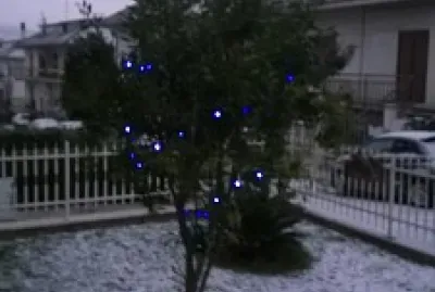 פאזל של giardino