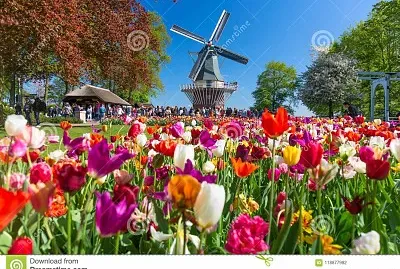 jardim jigsaw puzzle