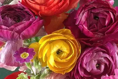 flores jigsaw puzzle