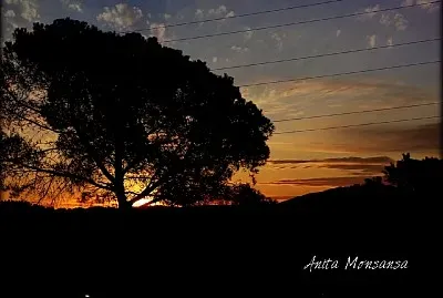 cielos