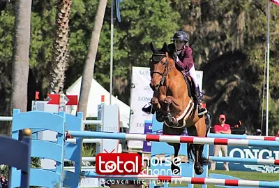 Live Oak International
