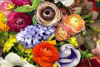 flores