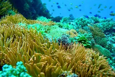 imagem jigsaw puzzle