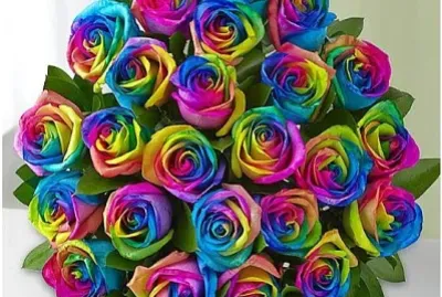 Kaleidescope Flowers