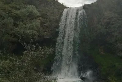 aaaaaaa jigsaw puzzle