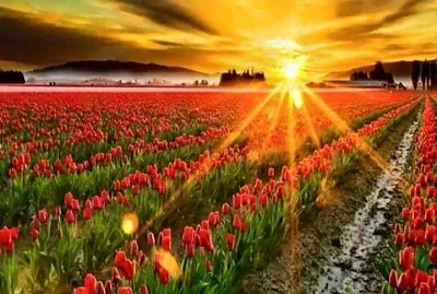 imagem jigsaw puzzle