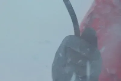 Happy is gone!- White Out