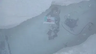 Happy throws book - White Out