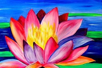 Colorful Lotus