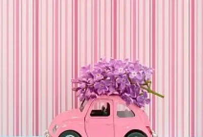 Fusca Rosa jigsaw puzzle