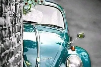 Fusca Verde