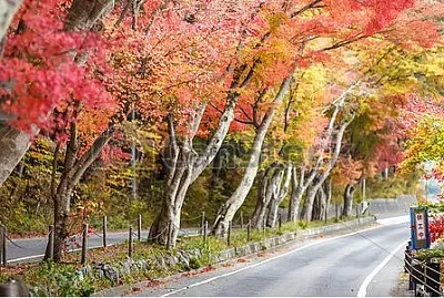 NATURALEZA