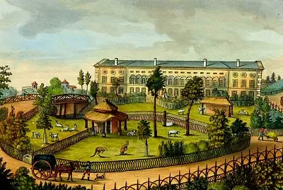 jacauber jigsaw puzzle