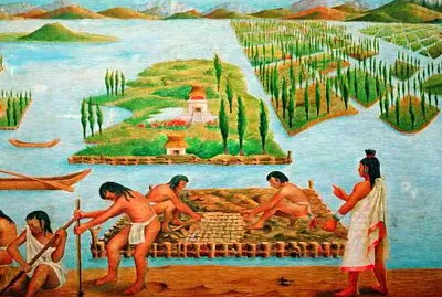 cultivo en chinampas
