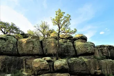 Parque nacional de Majalca, México.