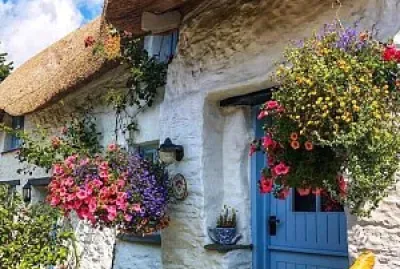 flores jigsaw puzzle