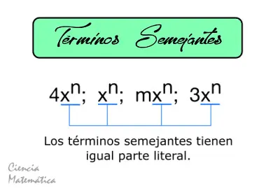 tÃ©rminos semejantes jigsaw puzzle