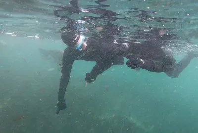 Amor en Puerto Madryn