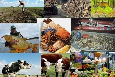 ACTIVIDADES ECONOMICAS