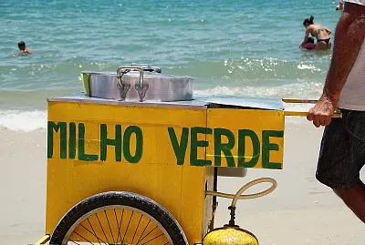 milho verde jigsaw puzzle