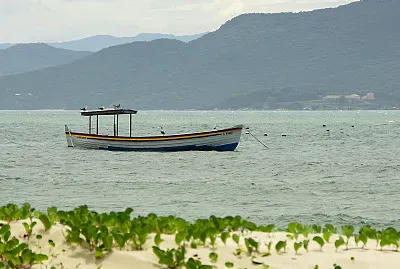barco IV