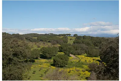 03 Primavera en el Parque de Casa de Campo